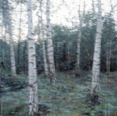 Woods, dusk, 2019  60 x 60 cm  Oil on panel