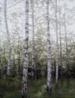 Birch 17 (spring), 2020  32 x 25cm  Oil on panel