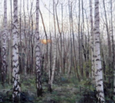 Birch 15 (spring), 2020  25 x 28cm  Oil on panel