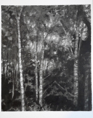 Birch, night 1, 2020  Ink on paper  26 x 20cm